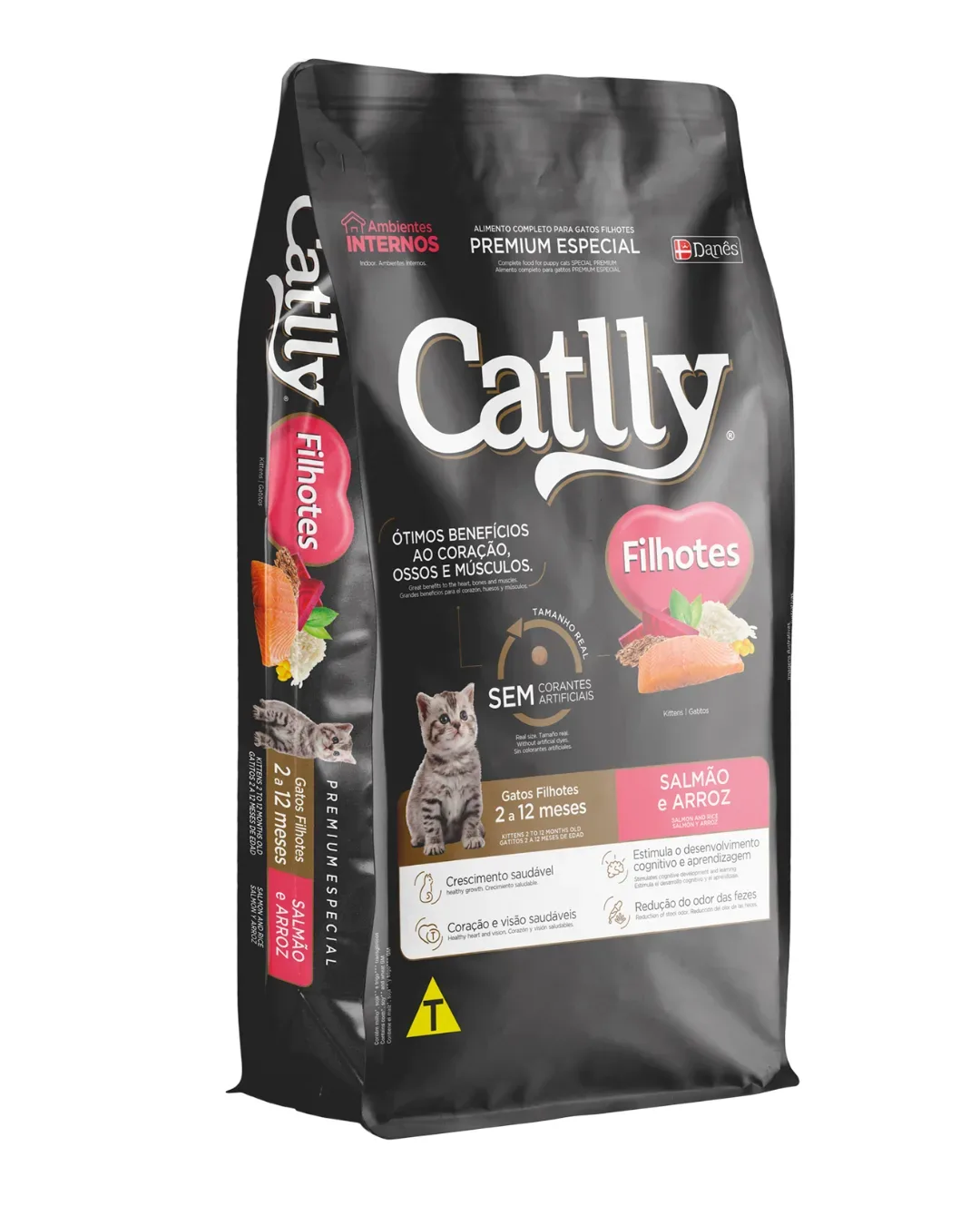 Gatos Filhotes Salmão e Arroz